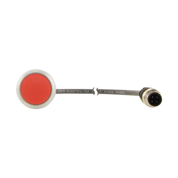 C22-D-R-K01-P3 Pushbutton, Flat, momentary, 1 NC, Cable (black) with M12A plug, 4 pole, 0.5 m, red, Blank, Bezel: titanium image 8