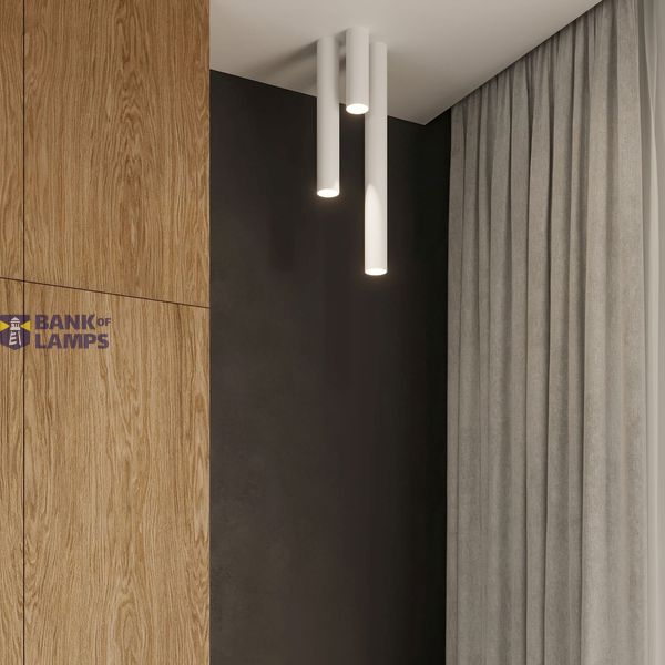 SPOT LAGOS 20 WHITE GU10 1X40W IP20 image 4