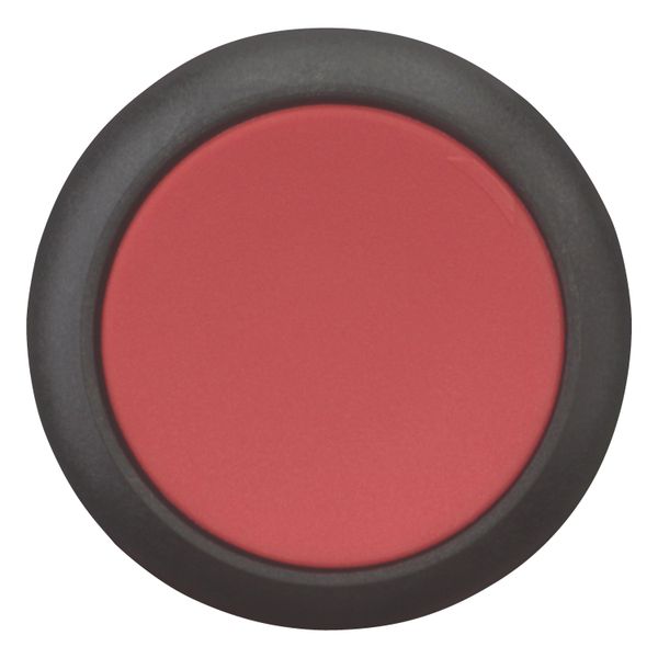 Pushbutton, Flat, maintained, 1 NC, 1 N/O, Screw connection, red, Blank, Bezel: black image 4