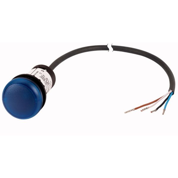 C22-L-B-24-P65 Indicator light, Flat, Cable (black) with non-terminated end, 4 pole, 3.5 m, Lens Blue, LED Blue, 24 V AC/DC image 1