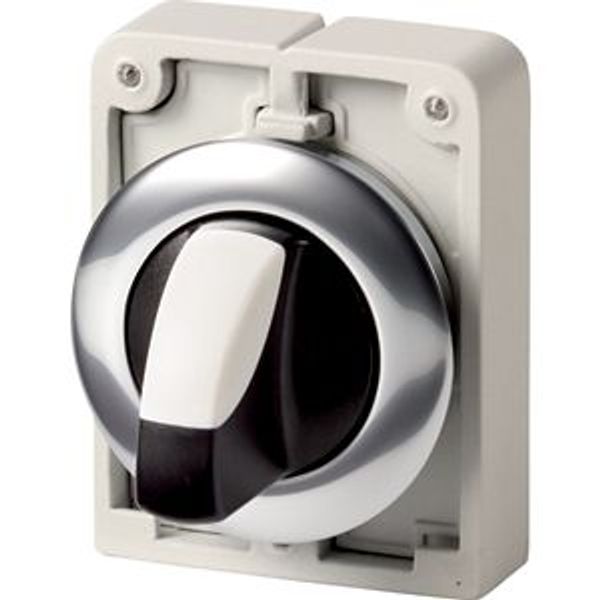 M30C-FWK Changeover switch, RMQ-Titan, With thumb-grip, momentary, 2 positions, Metal bezel image 2