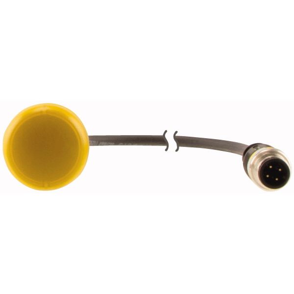 C22-L-Y-24-P3 Indicator light, Flat, Cable (black) with M12A plug, 4 pole, 0.5 m, Lens yellow, LED white, 24 V AC/DC image 2