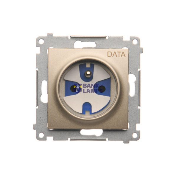 DATA single socket outlet with socket access element, (module), 16A, 250V, Screw, Gold matt, metalic image 1