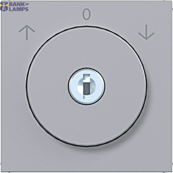 Central blind switch key excl. 0-position A.x/C.x titanium image 1
