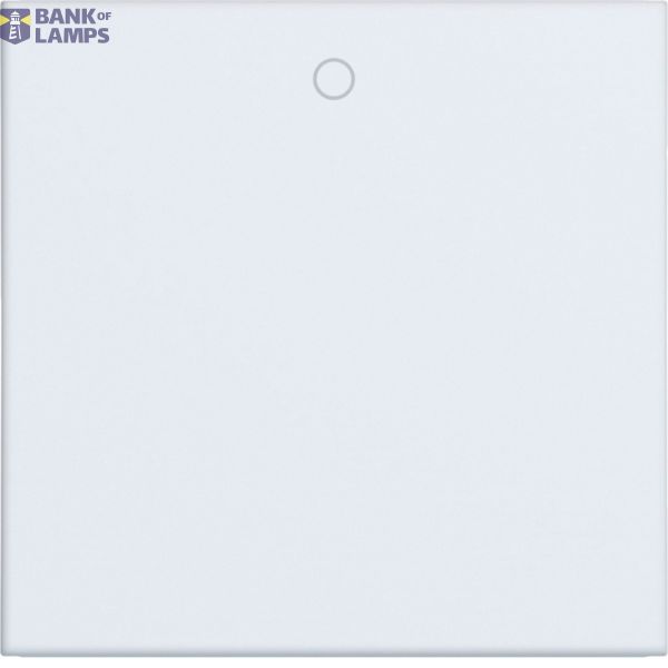 Single rocker, imprint "0", A.x/C.x, light white matte image 1