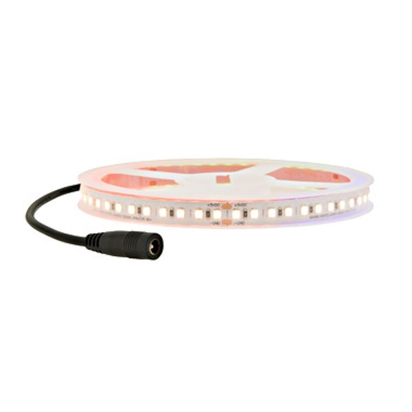 LED Flexstrip 9 Color Sample - IP44 - INDOOR / CRI/RA 95 image 1