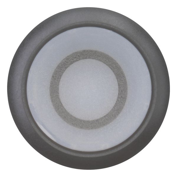 M22S-DRL-W-X0 Illuminated pushbutton actuator, RMQ-Titan, Flush, maintained, White, inscribed 0, Bezel: black image 12
