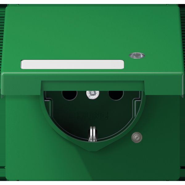 Schuko socket with hinged lid LS1520NAKLKOGN image 3