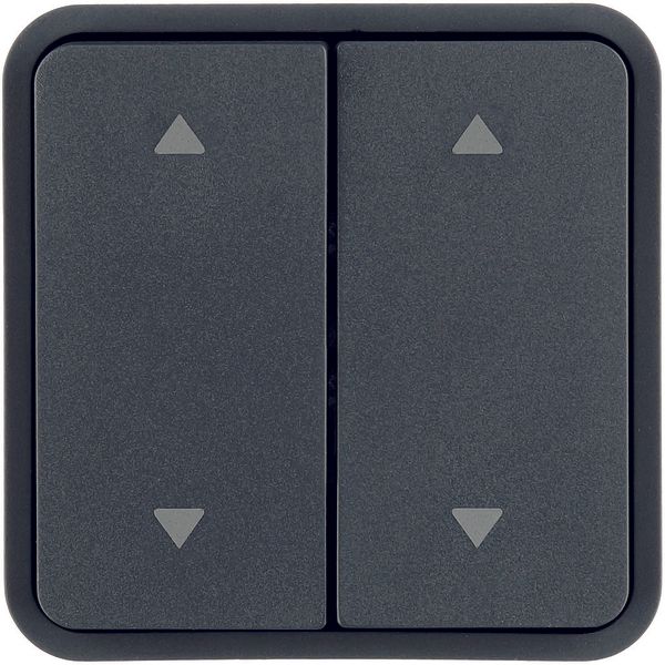 Rocker 2gang f. W.1 push-button BCU, impr. 4 arrows top/bottom right/l image 1