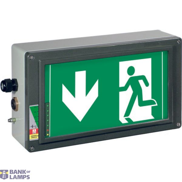Ex-escape sign luminaires EX-LITE N with integrated emergency light function for zone 1/21, Pictogram: DIN ISO 7010, Arrow: 6 Clock image 1