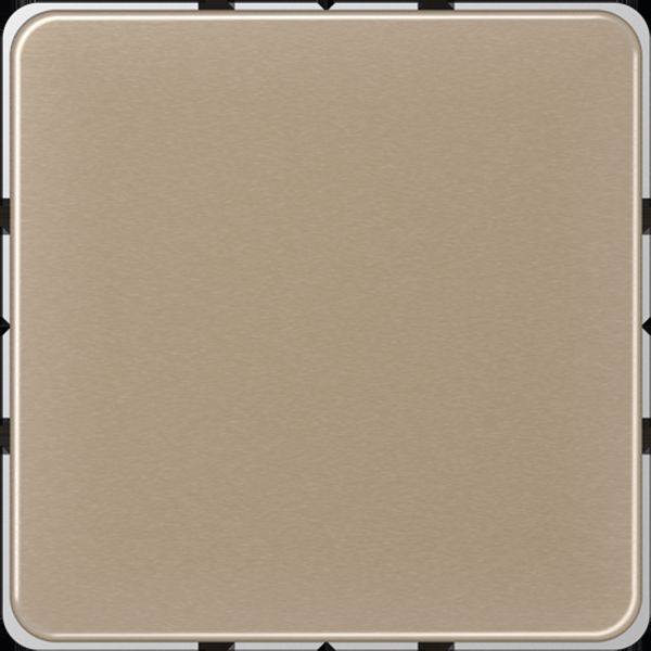 Blank centre plate for snap-on fixing CD594-0GB image 3