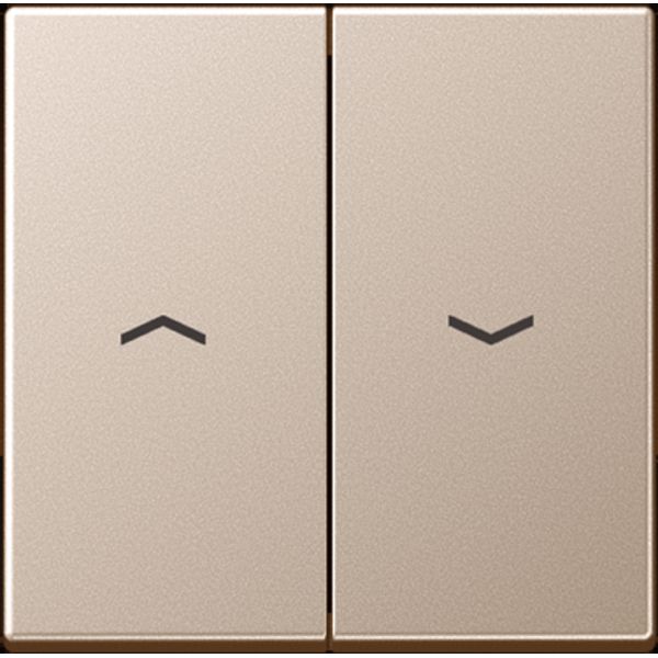 2-gang rocker with symbols A595PCH image 2