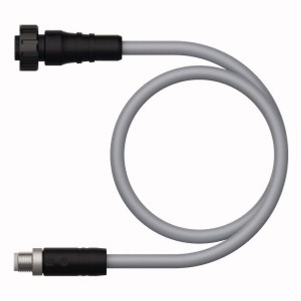 Supply Cable - M12 Power Extension Cable   RKM50.2-0.3-RSP56PLB/TXG image 1