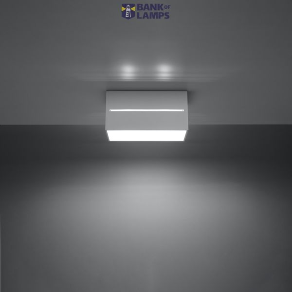 SPOT LOBO MAXI WHITE G9 2X40W IP20 image 3