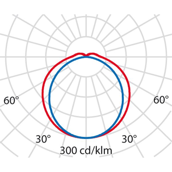 ACRO PRO EQ258PC S/EW 4000K CL HF PW image 4