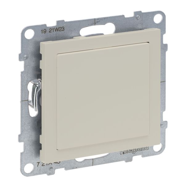 BLANKING PLATE WITH MOSAIC ADAPTOR IVORY image 1