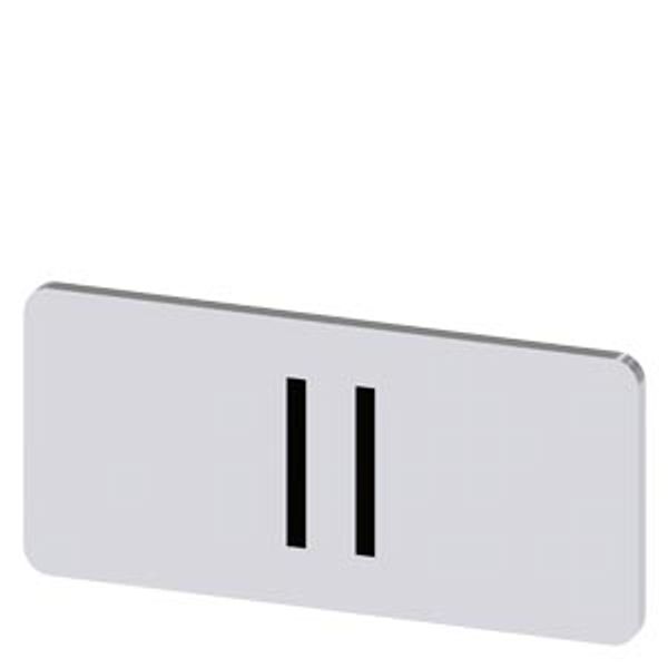 Labeling plate 12.5 x 27 mm, silver-colored label, icon: II* image 1