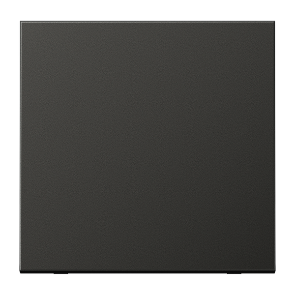 Centre plate for push button Centre plate for dimmer, antr image 1