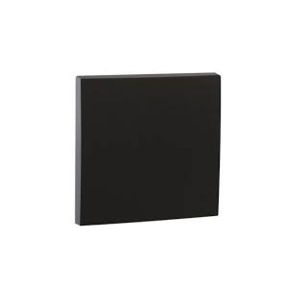 ROCKER F/TWO-POLE SWITCH MATTE BLACK image 1
