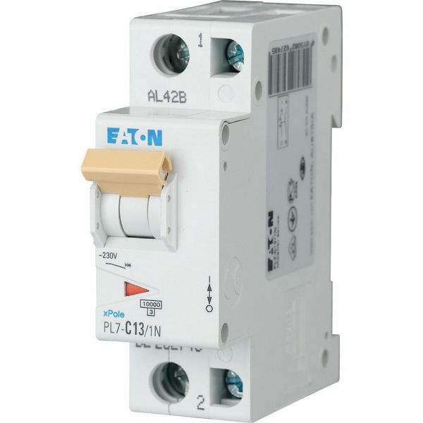 PL7-C13/1N Miniature circuit breaker (MCB), 13 A, 1p+N, characteristic: C image 2