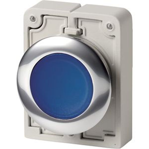 M30C-FDRL-B Illuminated pushbutton actuator, RMQ-Titan, Flat, maintained, Blue, Blank, Metal bezel image 8