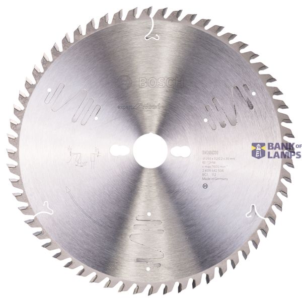 Expert for Wood circular saw blade 250 x 30 x 3,2 mm, 60 image 1