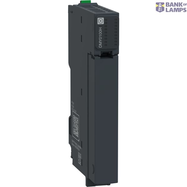 H Dummy for Single Slot SL Mod image 1