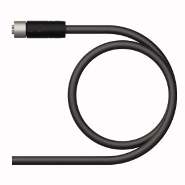 Supply Cable - M12 Power Connection Cable   RKP46PTB-2/TXL image 1