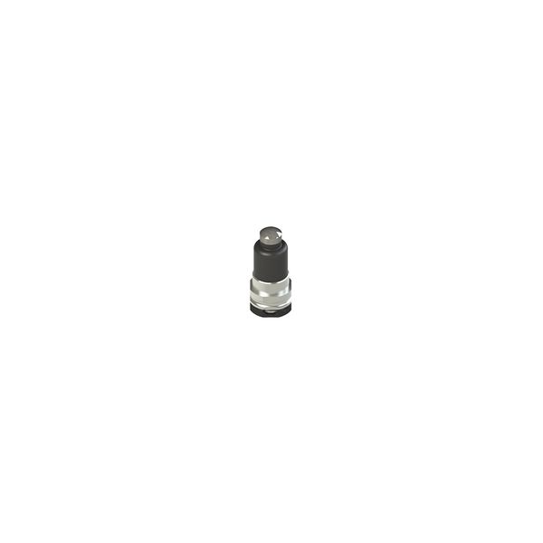 Head plunger with external rubber gasket image 1