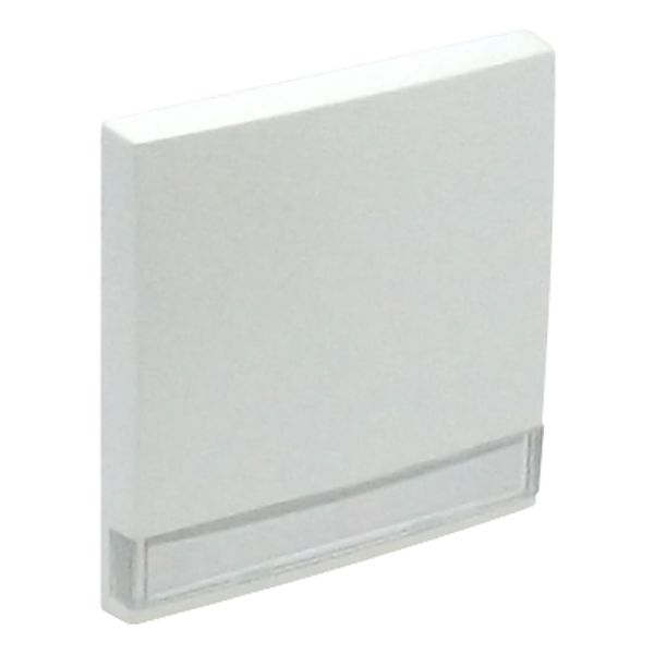 ROCKER F/SWITCHES W/IDENT CARD ICE image 1