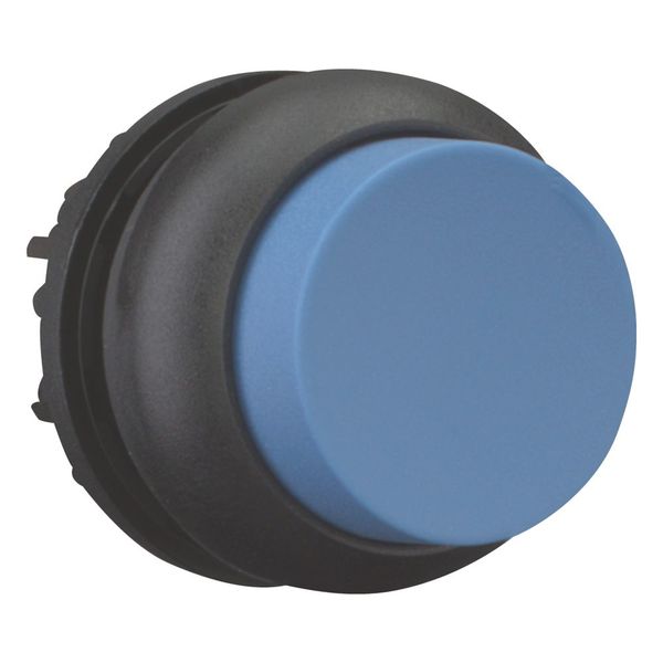 M22S-DRH-B Pushbutton, RMQ-Titan, Extended, maintained, Blue, Blank, Bezel: black image 6