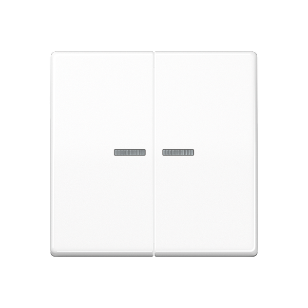 JUNG HOME push-button 2-gang BTA17102BFWW image 1