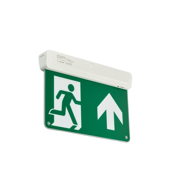 EM159C WL/CM EXIT SIGN M3 ELB UP WH image 1