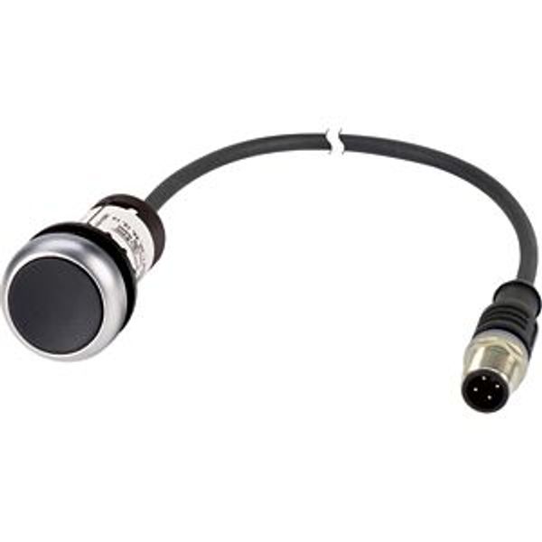 C22-D-S-K01-P5 Pushbutton, Flat, momentary, 1 NC, Cable (black) with M12A plug, 4 pole, 1 m, black, Blank, Bezel: titanium image 5