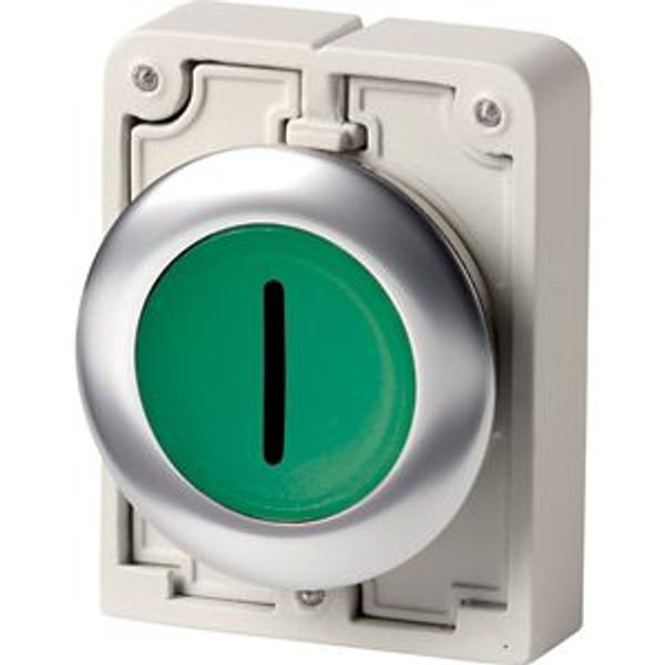 M30I-FDRL-G-X1 Illuminated pushbutton actuator, RMQ-Titan, flat, maintained, green, inscribed, Front ring stainless steel image 2