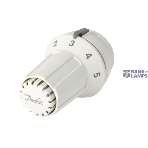 RAS-C Sensors, RAS-C 5015, Liquid, Sensor type: Built-in sensor, 15 °C - 28 °C, RA image 1