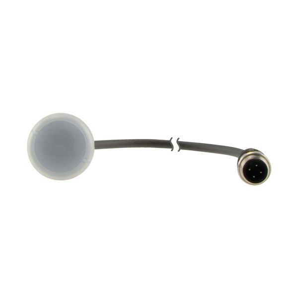 C22-L-W-24-P1 Indicator light, Flat, Cable (black) with M12A plug, 4 pole, 0.2 m, Lens white, LED white, 24 V AC/DC image 7