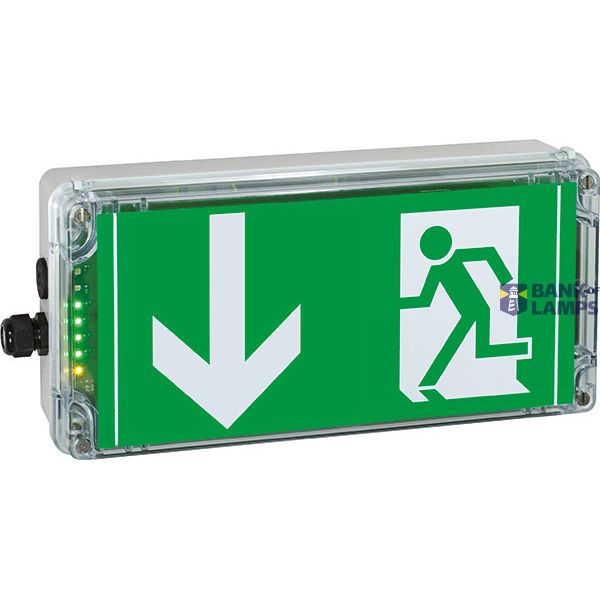 Ex-escape sign luminaires EXIT N with integrated emergency light function for zone 1/21, Pictogram: DIN 4844, Arrow: 6 Clock image 3