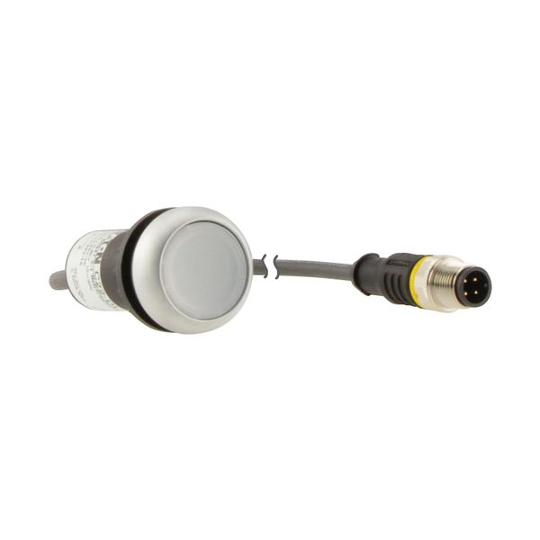 C22-DL-W-K10-24-P3 Illuminated pushbutton actuator, Flat, momentary, 1 N/O, Cable (black) with M12A plug, 4 pole, 0.5 m, LED white, White, Blank, 24 V AC/DC, Bezel: tita image 17