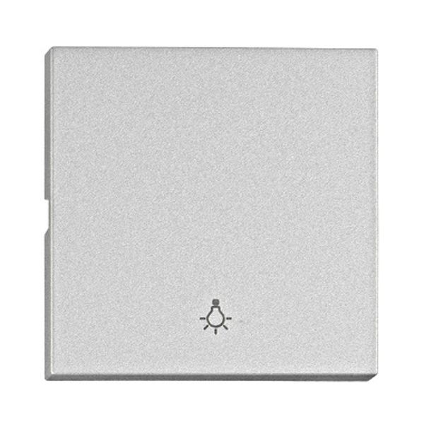 Rocker S 55 with symbol light, silver image 1