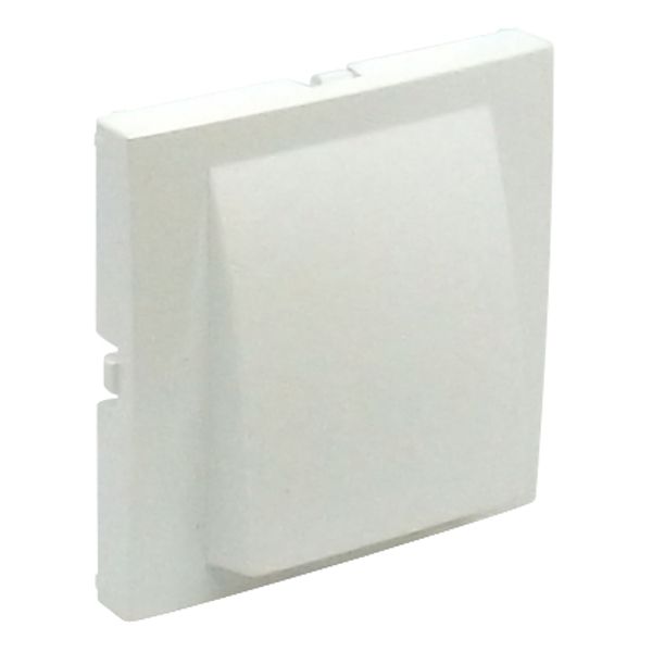 COVER PLATE F/WALL ROSES ICE image 2