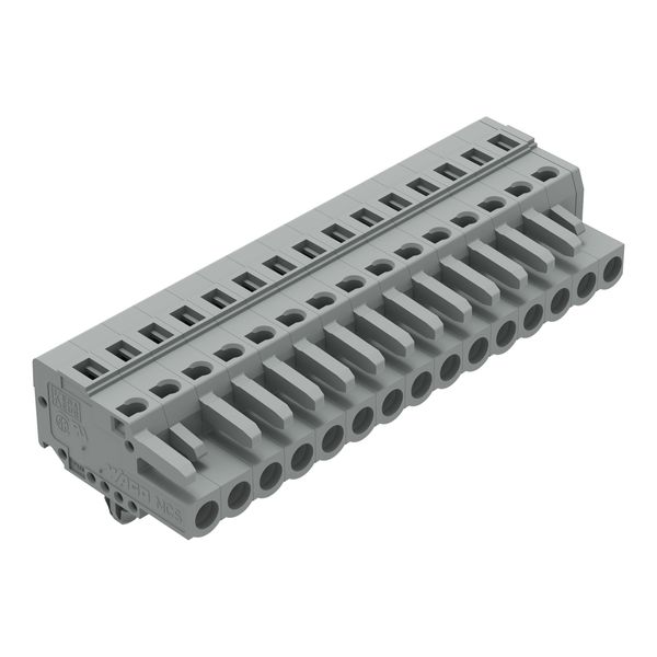 1-conductor female connector CAGE CLAMP® 2.5 mm² gray image 1