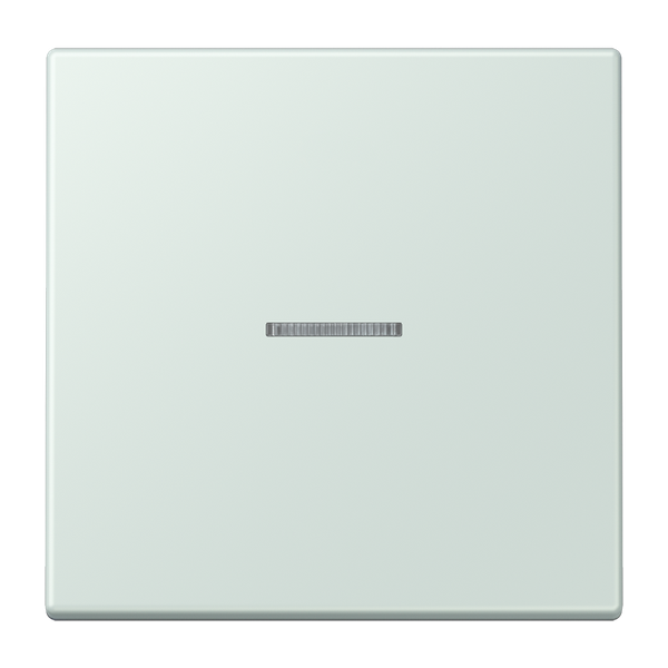 JUNG HOME push-button 1-gang BTLC17101215 image 1
