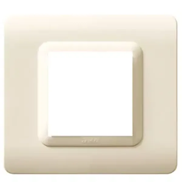 44 MOULDED FR.PLATE SAND         2M image 1