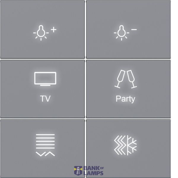 KNX pushbutton cover, 6-position, with backlight, A.x/C.x, titanium image 1