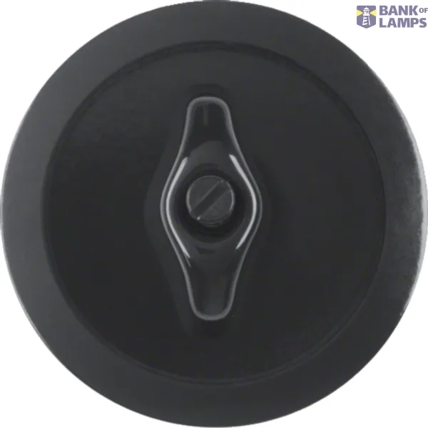 Central piece with knob, surface-mounted, series 1930, IP20, glossy black image 1