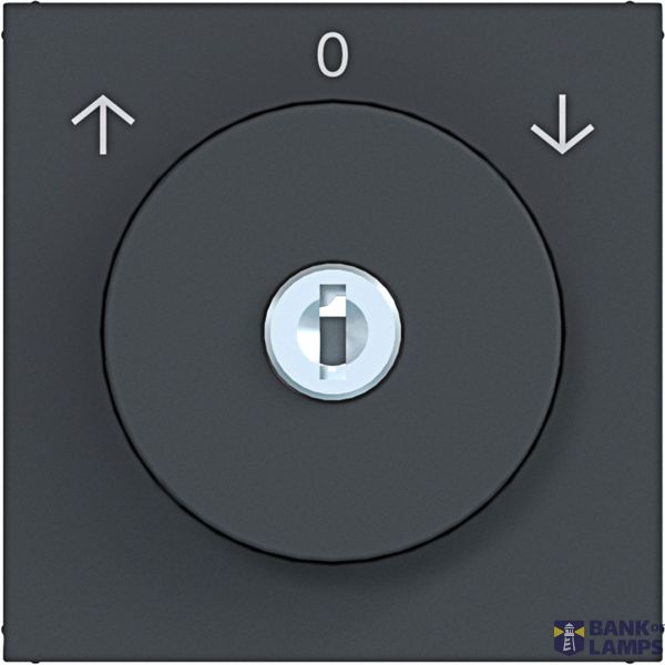 Central blind switch key ref. 0-position A.x/C.x anthracite image 1