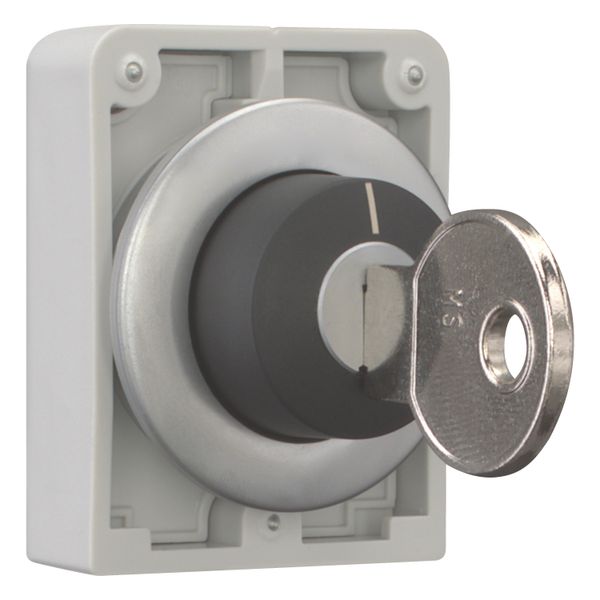 M30C-FWRS-X95 Key-operated actuator, Flat Front, maintained, 2 positions, Key withdrawable: I, II, Metal bezel image 12