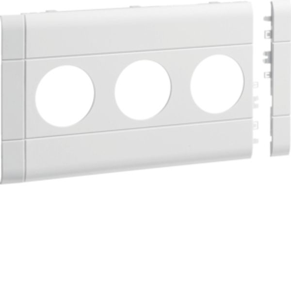 Frontplate 3-gang socket BR 120 pw image 1