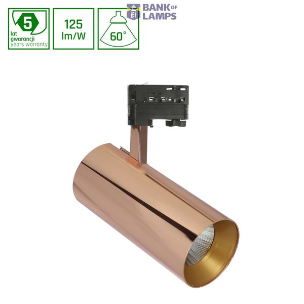 MDR BRANTA METALICA 940 27W 230V 60deg Gold MESH image 1